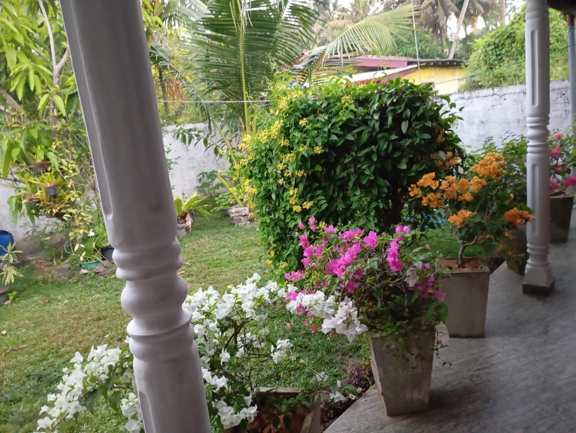 Southern Beach Surf Lodge อาฮานกามา ภายนอก รูปภาพ